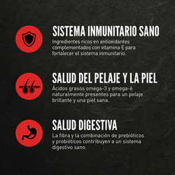 null - Product thumbnail 3.0